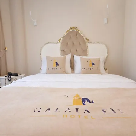 Galata Fil Istanbul