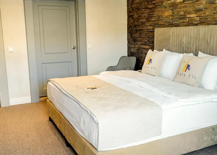 酒店 Galata Fil 4*